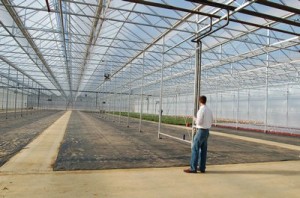 KMaas in greenhouse Inside the new greenhouse. Kevin Maas of Farm Power looks out over the specialized flooring that has been prepared for the radiant heating the digester coolant water will provide.