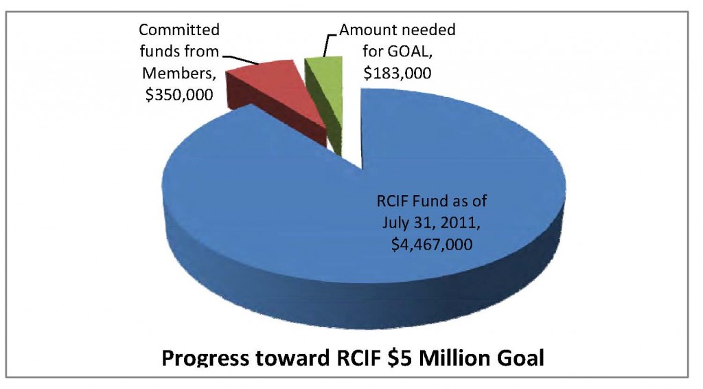 Pie chart for fundraising goal Pie chart for fundraising goal